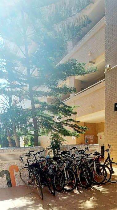 Apartamento Oropesa Del Mar- Marina D'Or- Magic World Vt30371Cs エクステリア 写真